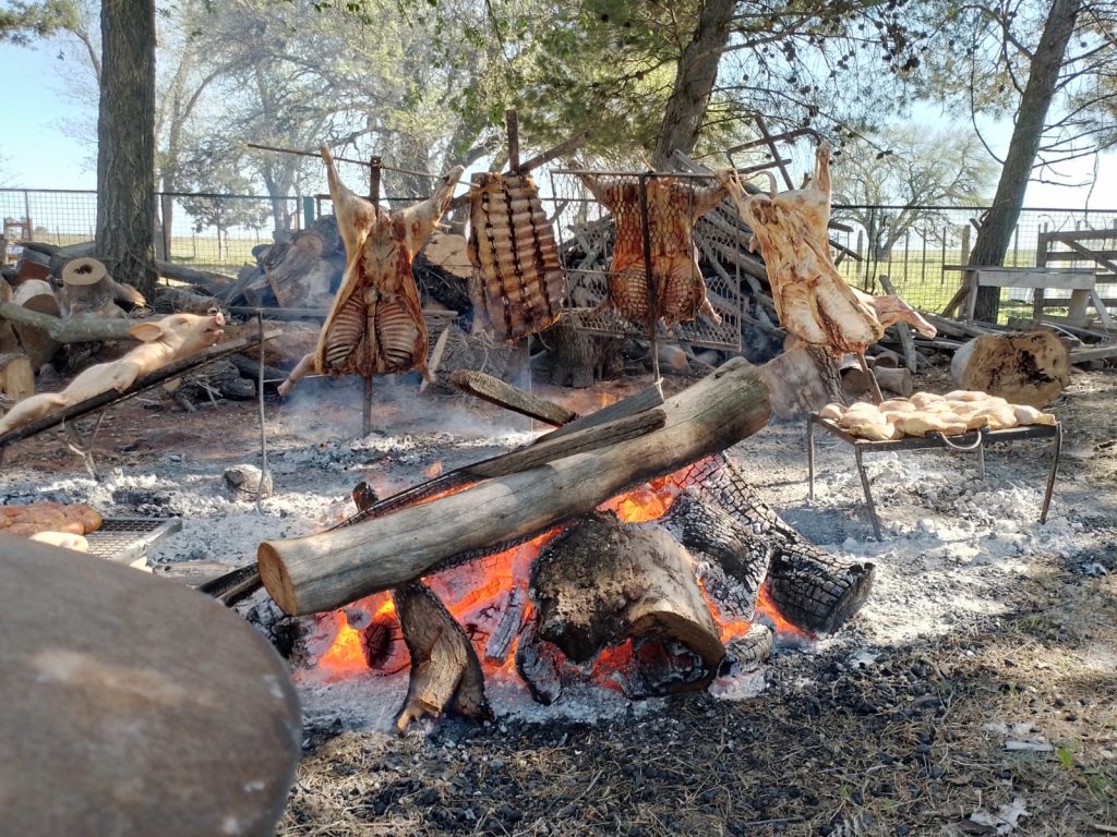 patagonia carpas globas21